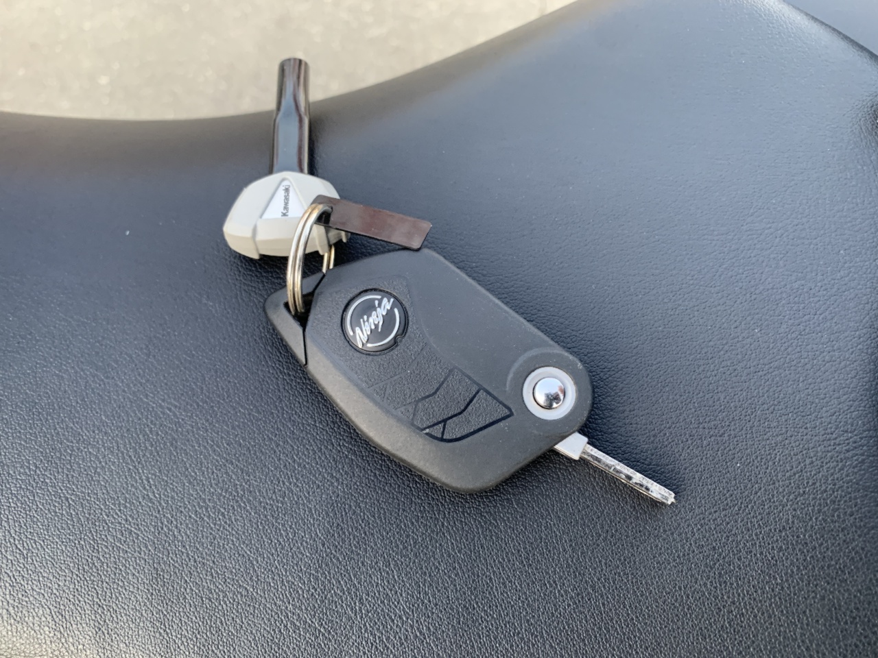 2024 Kawasaki Ninja 500